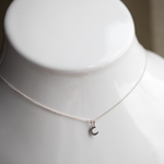 Load image into Gallery viewer, Helene Moon Necklace
